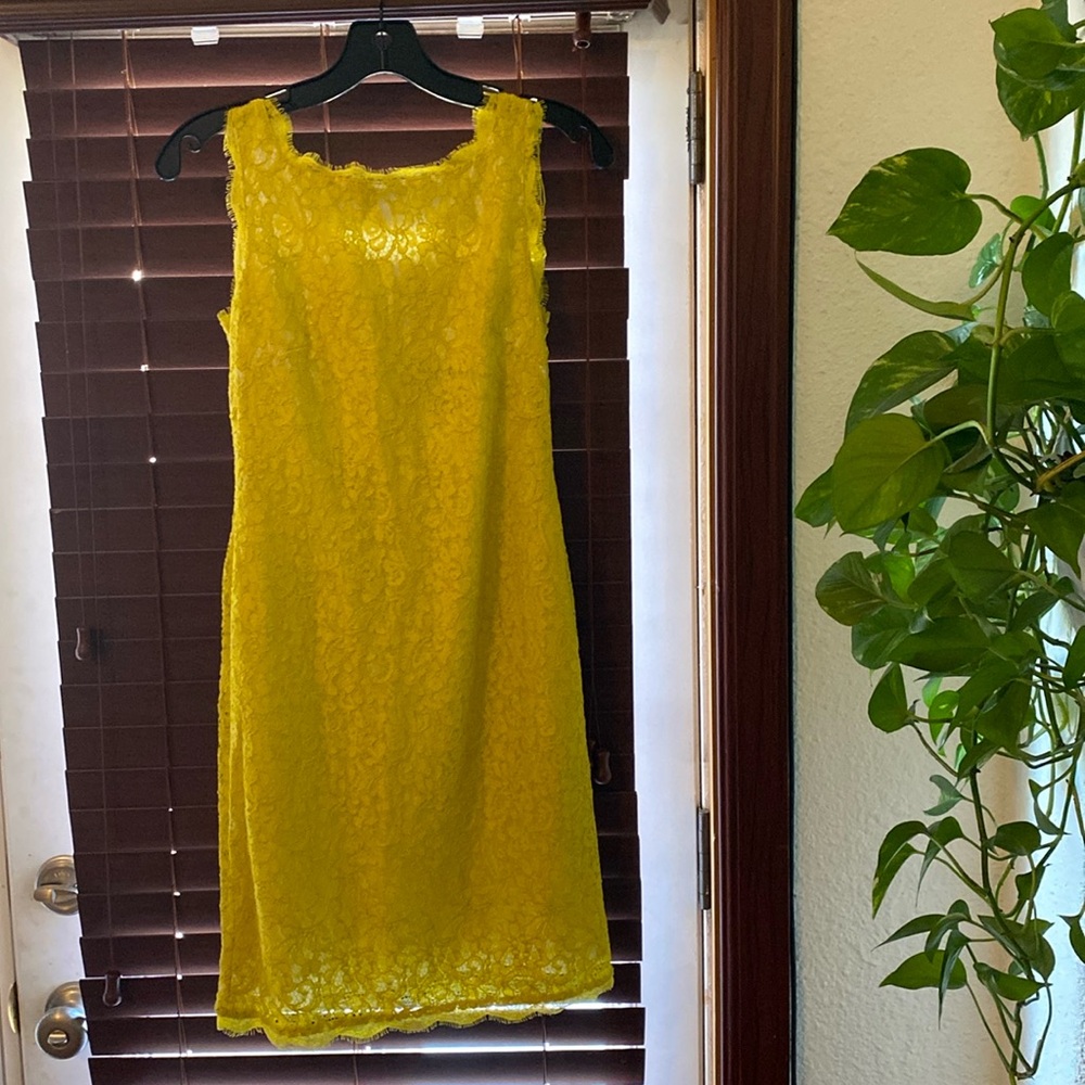 Adrienne Papapel Neon Scalloped Lace Dress